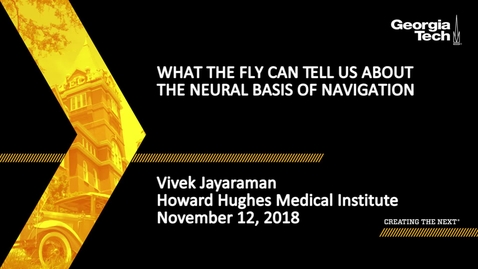 Thumbnail for Vivek Jayaraman - What the Fly Can Tell Us about the Neural Basis of Navigation