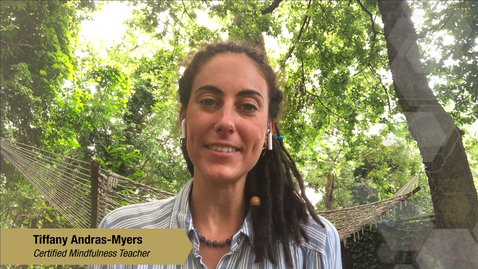 Thumbnail for Introduction to Mindfulness Based Wellness and Resilience