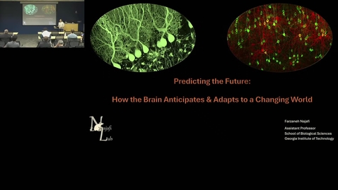 Thumbnail for Cerebellar–Cortical Dynamics in Predictive Processing - Farzaneh Najafi - Georgia Tech