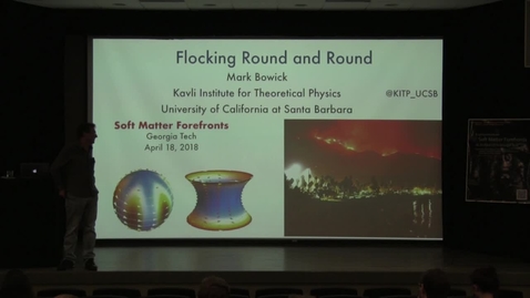 Thumbnail for Topology in Polar Flocking and Active Nematics - Mark Bowick