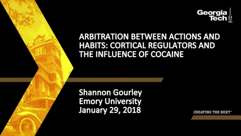 Thumbnail for Arbitration between Actions and Habits: Cortical Regulators and the Influence of Cocaine - Shannon Gourley