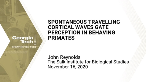 Thumbnail for John Reynolds - Spontaneous travelling cortical waves gate perception in behaving primates