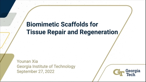 Thumbnail for entry Younan Xia - Biomimetic Scaffolds for Tissue Repair and Regeneration