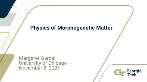 Thumbnail for Margaret Gardel - Physics of Morphogenetic Matter