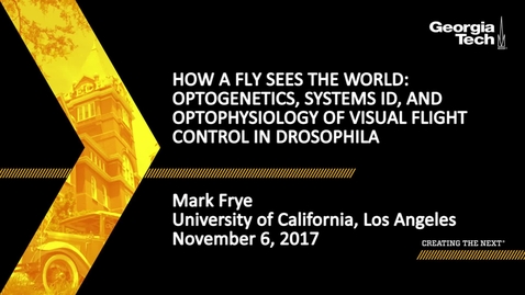 Thumbnail for How a Fly Sees the World: Optogenetics, Systems ID, and Optophysiology of Visual Flight Control in Drosophila - Mark Frye