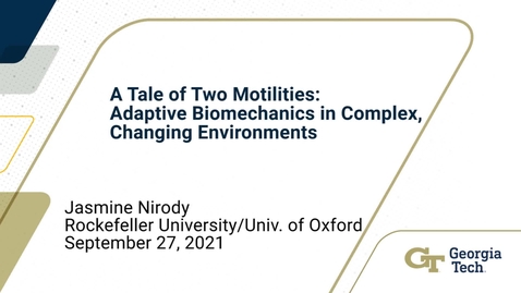 Thumbnail for Jasmine Nirody - A tale of two motilities: adaptive biomechanical systems in complex, changing environments