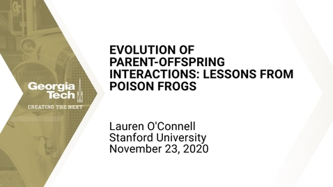 Thumbnail for Lauren O'Connell - Ecological resources and the evolution of parent-offspring interactions