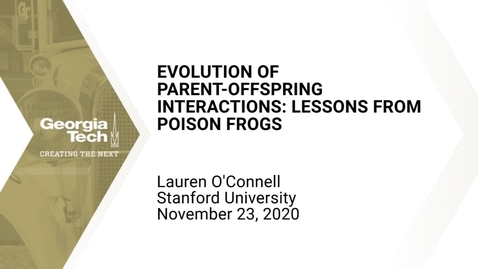 Thumbnail for entry Lauren O'Connell - Ecological resources and the evolution of parent-offspring interactions