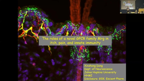 Thumbnail for Xinzhong Dong - The Role of GPCR Family Mrgprs in Itch, Pain, and Innate Immunity