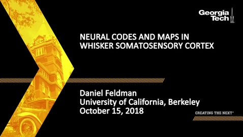 Thumbnail for Daniel Feldman - Neural Codes and Maps in Whisker Somatosensory Cortex