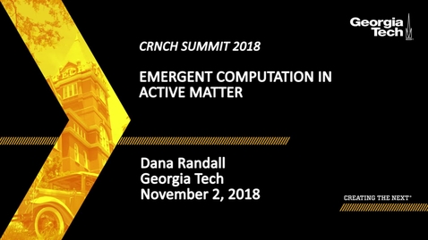 Thumbnail for entry Dana Randall - Emergent Computation in Active Matter