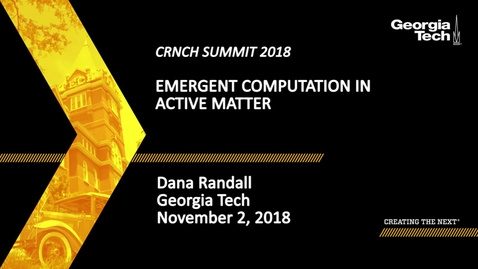 Thumbnail for Dana Randall - Emergent Computation in Active Matter