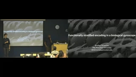 Thumbnail for Bradley Dickerson - Functionally Stratified Encoding in a Biological Gyroscope