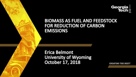 Thumbnail for Biomass as fuel and feedstock for reduction of carbon emissions - Erica Belmont