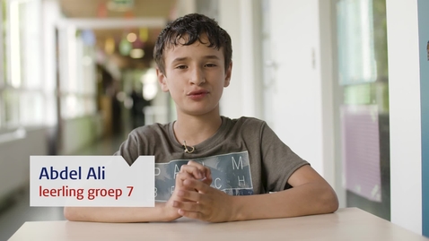 Thumbnail for Het Leidse Tutorprogramma