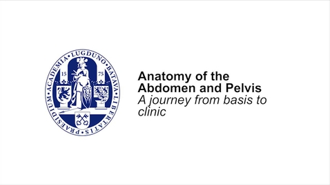 Thumbnail for MOOC 4.6 Anatomy on the table: the three locations of organs in relation to the peritoneum (in MOOC Anatomy of the Abdomen and Pelvis)