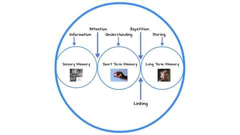 Thumbnail for Study skills - Theory: how memory works