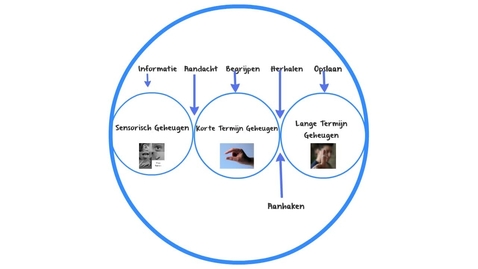 Thumbnail for Study skills - Theorie: werking van het geheugen