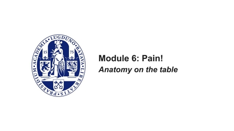 Thumbnail for MOOC 6.3 Anatomy on the Table: Innervation of the viscera -thorax (in MOOC Anatomy of the Abdomen and Pelvis)