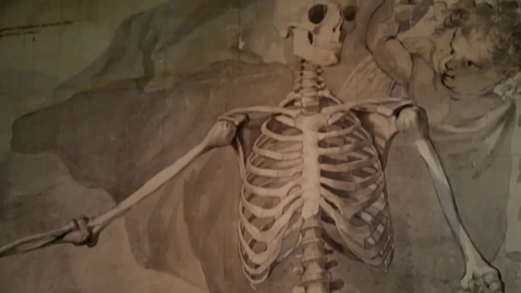 Thumbnail for WERELDSCHATTEN De perfecte mens. Een levensgrote anatomische tekening