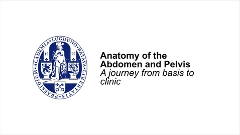 Thumbnail for MOOC 4.2 Why bother about the peritoneum?