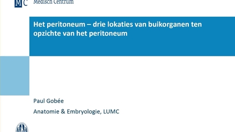 Thumbnail for De drie lokaties van organen ten opzichte van het peritoneum