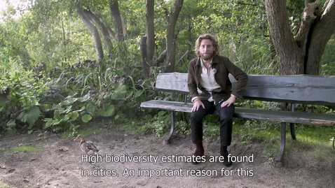 Thumbnail for 2-Urban Studies- Kevin Groen- the sustainable city