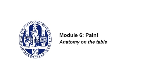 Thumbnail for MOOC 6.4 Anatomy on the Table: Innervation of the viscera - abdomen (in MOOC Anatomy of the Abdomen and Pelvis)