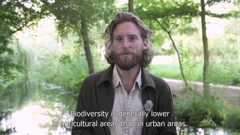 Thumbnail for 3-Urban Studies- Kevin Groen - the sustainable city