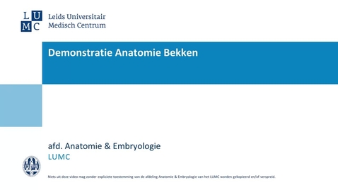 Thumbnail for Demonstratie Anatomie Bekken