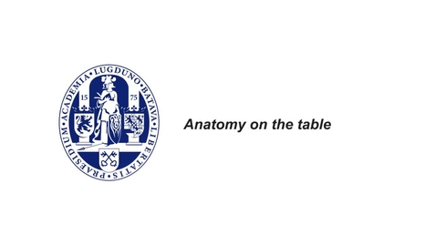Thumbnail for MOOC 1.6 Anatomy on the Table: open the abdomen (in MOOC Anatomy of the Abdomen and Pelvis )