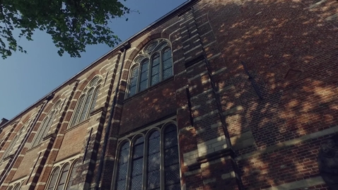 Thumbnail for Young Academy Leiden All members EN