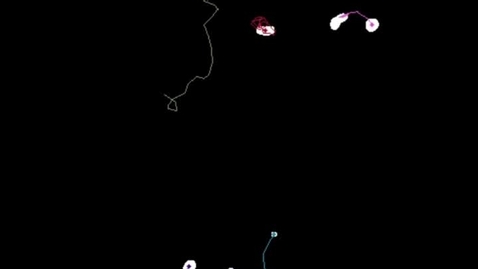 Thumbnail for 2024CL-Example01-NeutrophilTracking.mp4