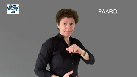 Thumbnail for PAARD