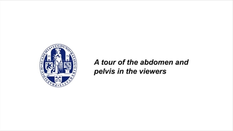 Thumbnail for MOOC 1.9 A tour of the abdomen and pelvis in the viewers