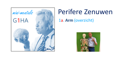 Thumbnail for MiniMental Perifere Zenuwen 1a. ARM overzicht