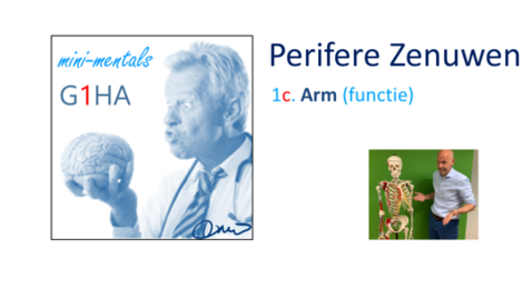 Thumbnail for MiniMental Perifere zenuwen 1c ARM FUNCTIE