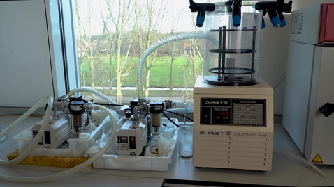Thumbnail for Freeze drying - interactive2.mp4