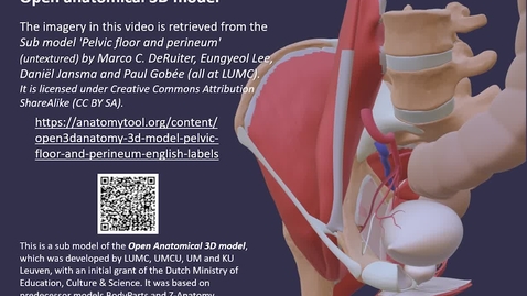 Thumbnail for Pelvis-Bony Parts, Ligaments, Passways