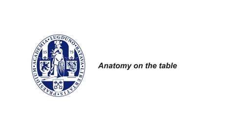 Thumbnail for MOOC 1.4 Anatomy on the Table: follow the food (in MOOC Anatomy of the Abdomen and Pelvis )
