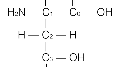 Thumbnail for 2023DL-Aspartic_Structural_Formula.png