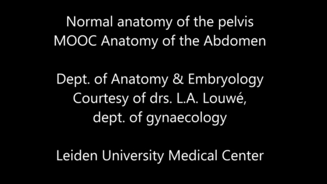 Thumbnail for MOOC 5.15 Normal pelvic laparascopy, with captions
