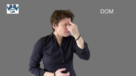 Thumbnail for DOM