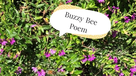 Thumbnail for entry Buzzy Bee Poem