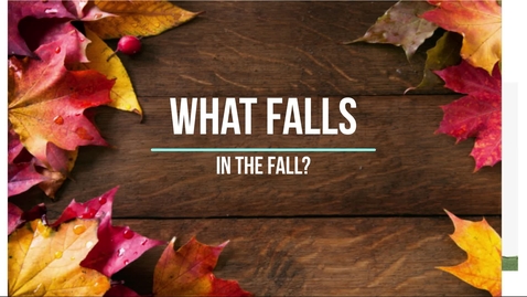 Thumbnail for What Falls in the Fall