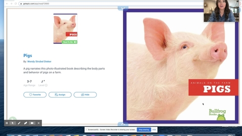 Thumbnail for Pigs- Informational Text