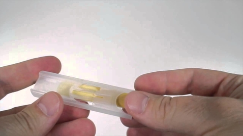 Thumbnail for Introduction to Reeds