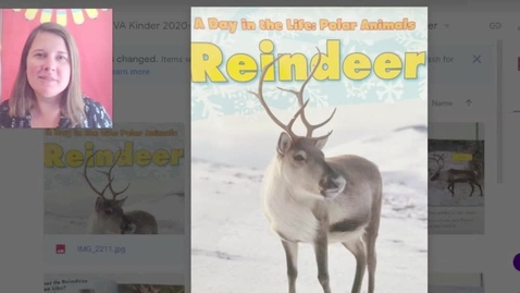 Thumbnail for Reindeer Close Read 