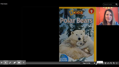 Thumbnail for Polar Bear Video Close Read Day 1