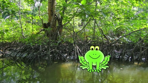 Thumbnail for Frog Guiro Story Part 1